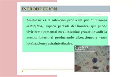 Epidemiologia Amebiasis Intestinal Ppt