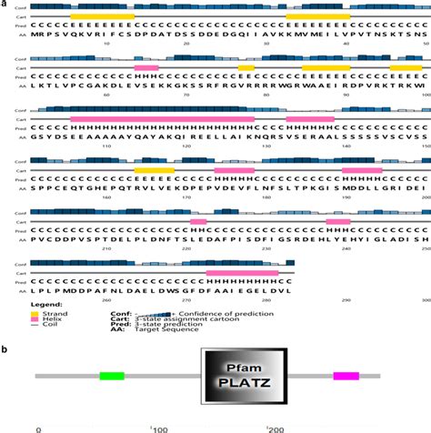 The Primary Sequence Of Zmplatz A Secondary Structure Predicted By