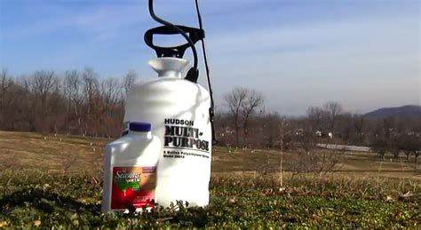 Fruit Tree Care Spraying Dormant Oil Stark Bros