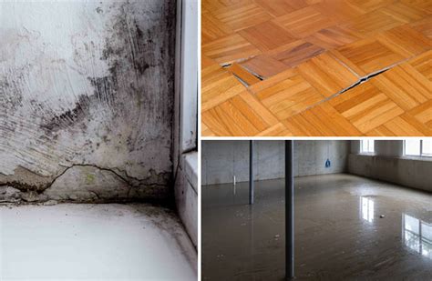 Carpet Water Damage Restoration In Billings Laurel MT