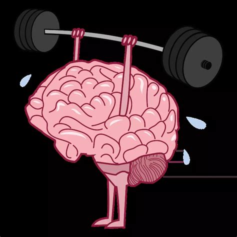 ¿Qué es el fitness mental? Así son los ejercicios que necesitas para ...