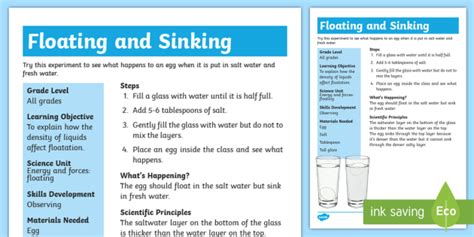 Floating Egg Science Experiment (teacher made)