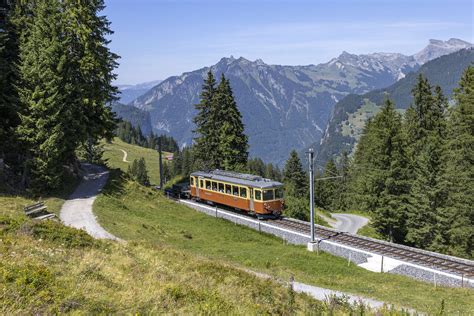 Be Der Blm Zwischen Gr Tschalp Und Winteregg