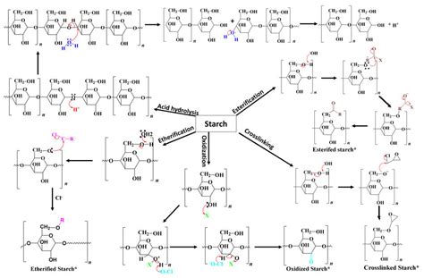 The Reaction Mechanisms Of Different Chemical Modification Processes