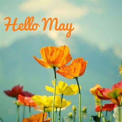 Hello May Month Of May May Flowers Quote Of The Month Seasons