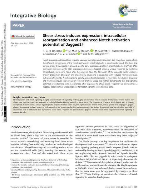 PDF Shear Stress Induces Expression Intracellular Reorganization And