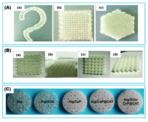 Alginate Based Hydrogels A The 3d Printed Xylanase Entrapped In Download Scientific Diagram