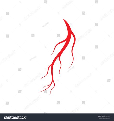 Human Veins Arteries Illustration Design Template Stock Vector Royalty