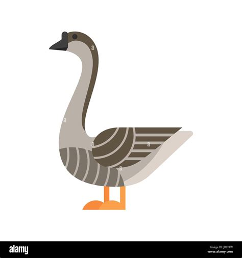 Wild Goose Stock Vector Images Alamy