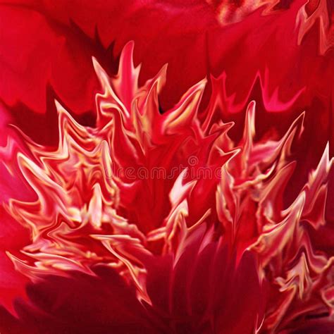 Fire red flower stock photo. Image of close, seasonal - 7121744