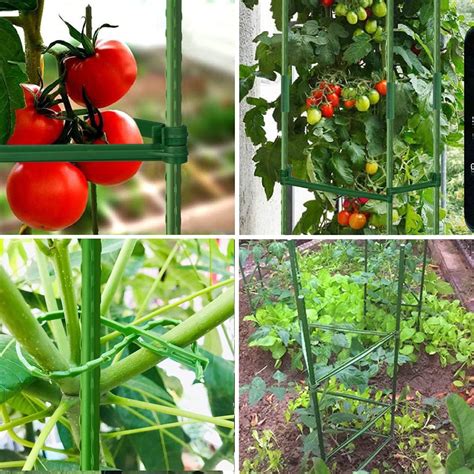 Beautyflower Jaulas De Tomate Paquetes De Estacas De Soporte Para