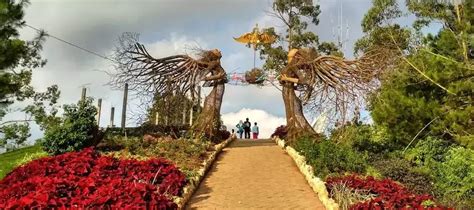 Taman Langit Gunung Banyak Jam Buka Htm Dan Atraksi