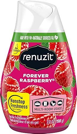 Amazon Renuzit Adjustable Solid Gel Air Freshener Cone Forever