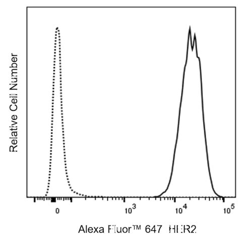 Her Anti Human Alexa Fluor Clone Trastuzumab Rmab Also