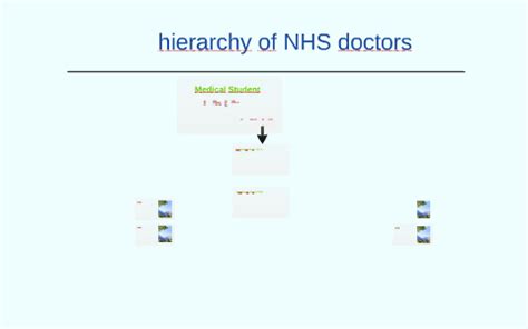 Uk Hierarchy Of Doctors