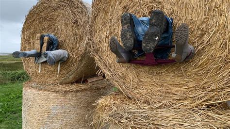 Ostseeinsel Warnt Touristen Vor Sex Im Hohen Gras