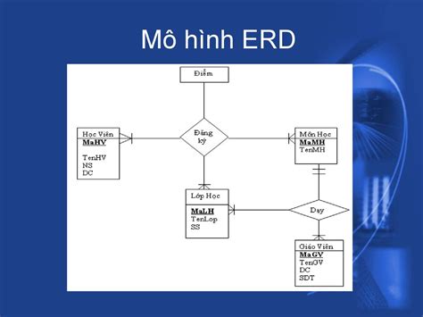 Các khái niệm cơ bản về mô hình thiết kế dữ liệu cấp cao sử dụng ERD