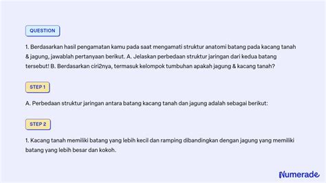 Solved 1 Berdasarkan Hasil Pengamatan Kamu Pada Saat Mengamati