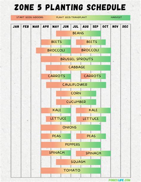 Zone Planting Schedule Printable Karin Marlene