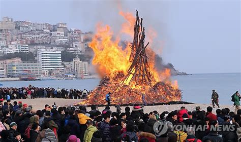 달집아 활활 타올라라 부산 곳곳서 풍성한 대보름 행사 네이트 뉴스