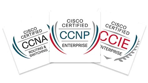 Los 5 Niveles De Certificación De Cisco ¿cuál Es El Adecuado Para Ti