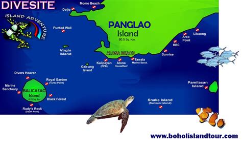 Bohol Scuba Diving rates