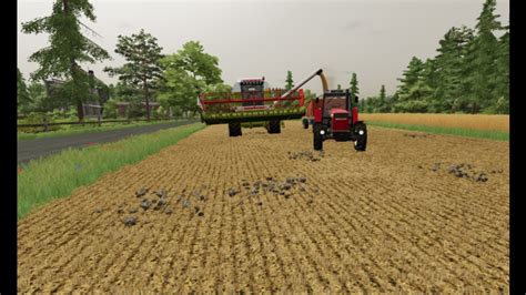 Niwa Pszenicy Dominatorem Farming Simulator Youtube