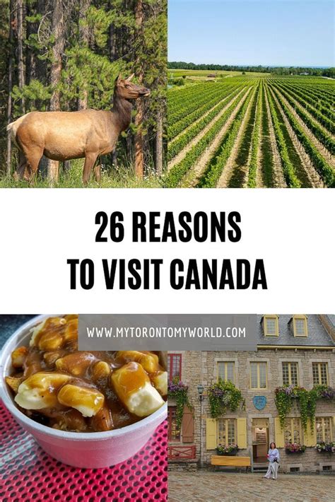 25 Reasons To Visit Canada That Will Give You Serious Wanderlust Artofit