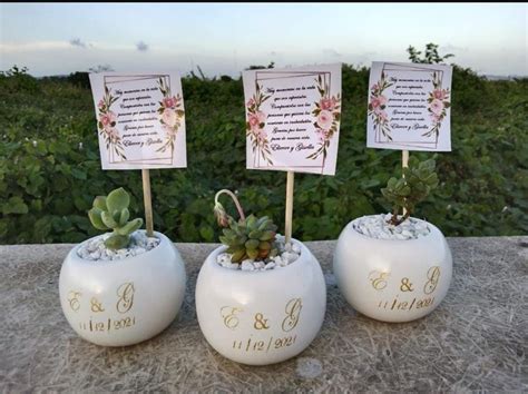 Three White Vases With Succulent Plants In Them On Top Of A Table