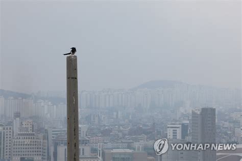 서울 초미세먼지주의보 해제 연합뉴스