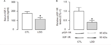 Figure From Insulin Like Growth Factor Activates Pi K Akt Signaling