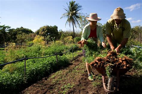 Como Comprovar Atividade Rural No Inss