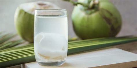 Inilah Manfaat Vitamin Air Kelapa Hijau Khasiat Dan Manfaat