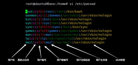 Linux 用户、用户组以及权限 腾讯云开发者社区 腾讯云