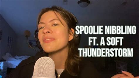 Asmr Spoolie Nibbling Ft A Soft Thunderstorm Youtube