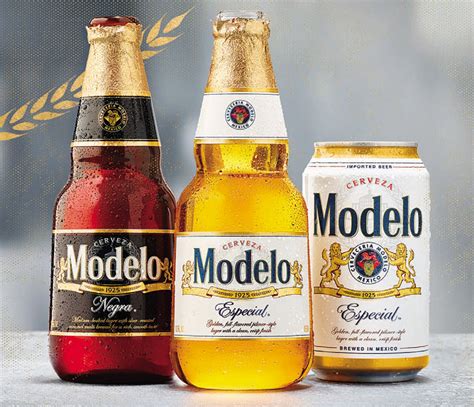 Modelo Promo And Sampling Finley Beer