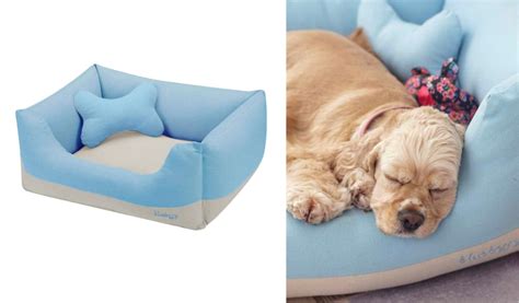 5 Best Dog Beds for Winter Comfort - Cozy Retreats