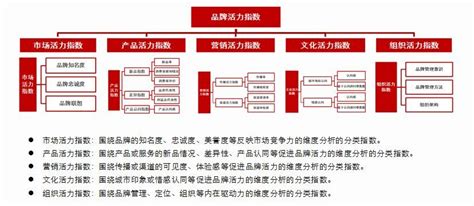 迈迪动态丨老字号品牌项目获上海市政府高度认可！搜狐汽车搜狐网