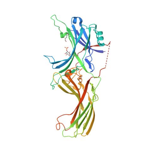 RCSB PDB 7F1X X Ray Crystal Structure Of Visual Arrestin Complexed