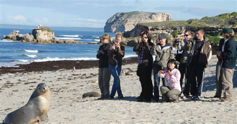 Adelaide 2 Day Kangaroo Island Wildlife Small Group Tour GetYourGuide