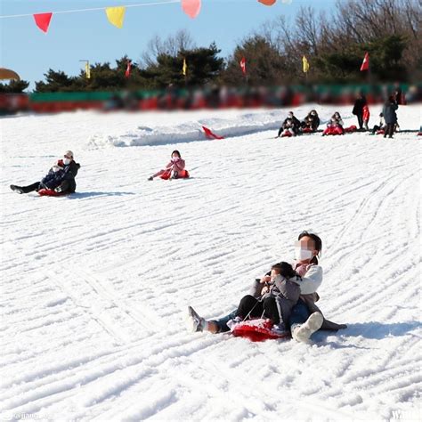 Visit The Sled Park In Seoul Land For Your Last Winter Hurrah