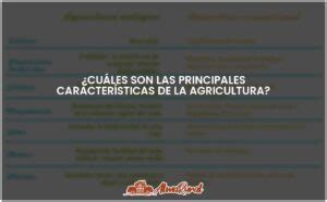 Principales características de la agricultura todo lo que debes saber