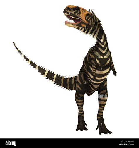 Abelisauriden Theropod Dinosaurier Stockfotos Und Bilder Kaufen Alamy