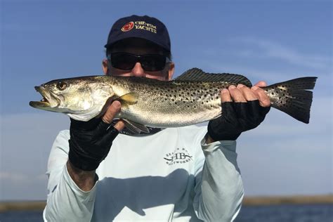 Louisiana State Fish Two Fish One Incredible Fishery