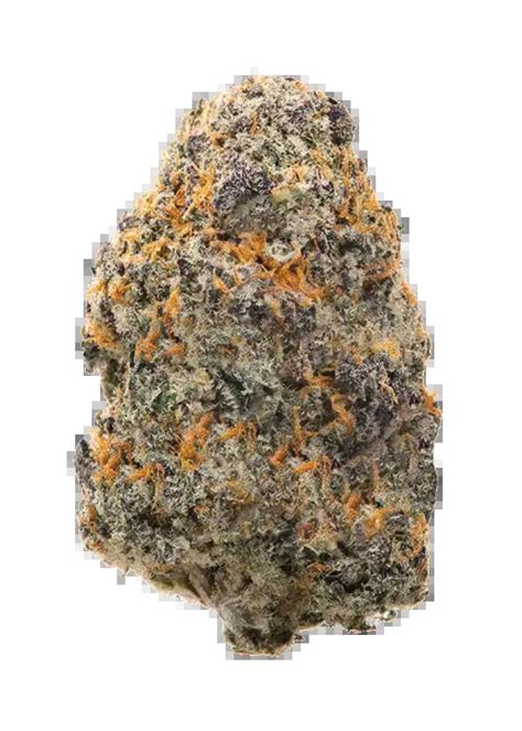 Alaskan Thunder Fuck Cannabis Strain Information GrowDiaries