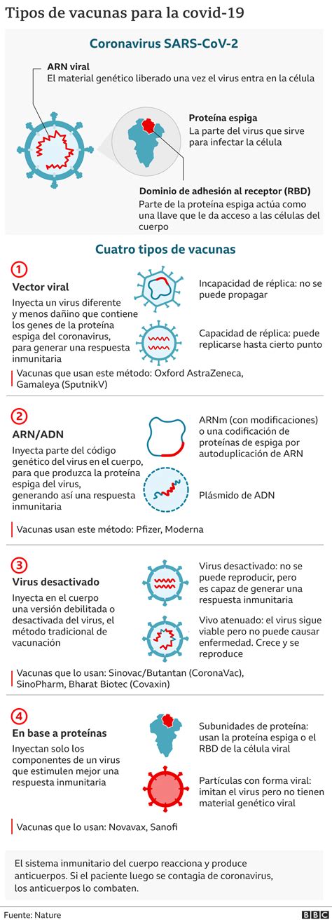Coronavirus: el gráfico que muestra cómo funcionan 4 tipos de vacunas