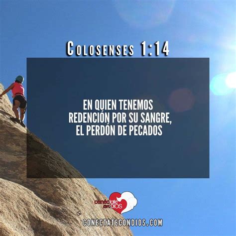 Los Mejores Vers Culos B Blicos Sobre El Perd N Con Ctate Con Dios