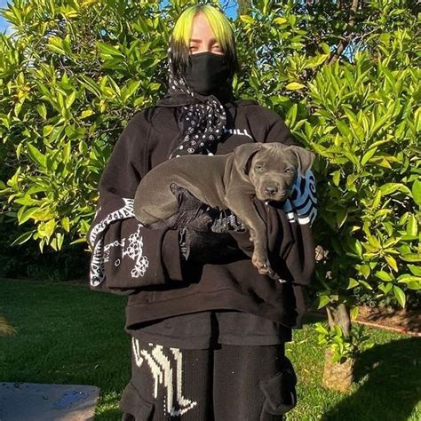 Billie Eilish E Seu Cachorro Shark Purebreak