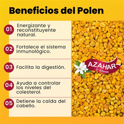 Polen de abeja propiedades beneficios y cómo consumirlo