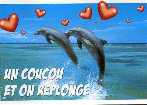 Image Dauphin Avec Coeur